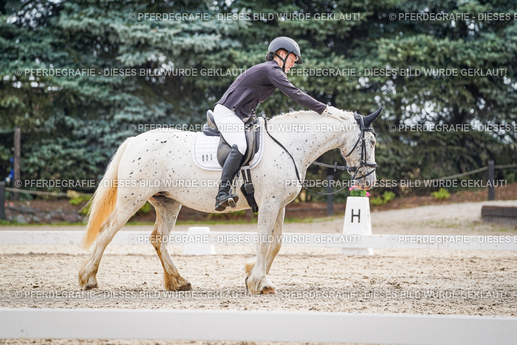 DSC01060 | Pferdegrafie