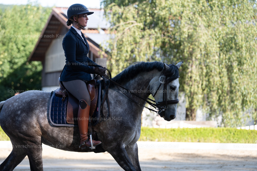 WL_DR_6_sinafilmart_IN05815 | working equitationturnier fotograf videograf stoibphotography marixx film working equitation deutschland reitsport turnierfotografie eventfotografie equestrian events