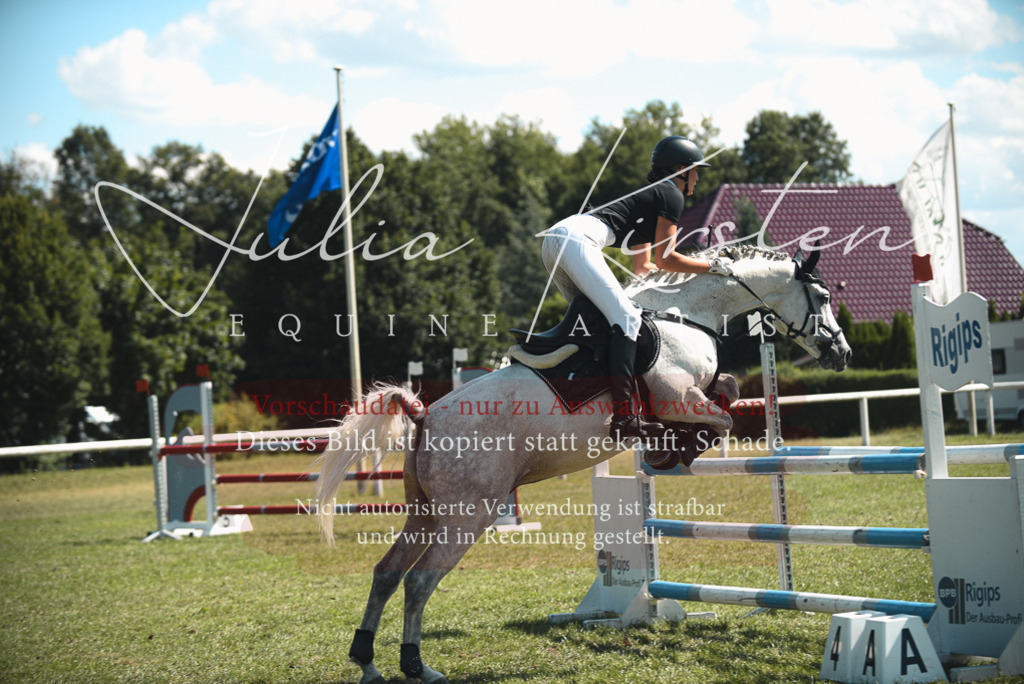 DSC_6887 | Pferde- und Turnierfotografie in Westsachsen. Pferdeportraits, Auftragszeichnungen und intuitive Kunst.