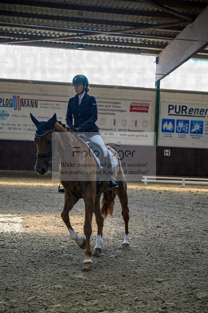 Reitturnier Voxtrup | Entdecke hochwertige Reitturnierfotos von Foto Oger. Professionell, emotional und authentisch – jetzt Lieblingsmomente im Shop bestellen.Deutschlandweite Turnierfotografie. - Realisiert mit Pictrs.com