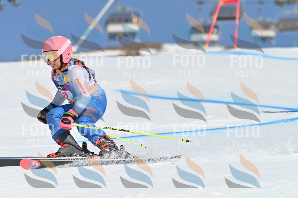 BGV_8319 | holidayphoto