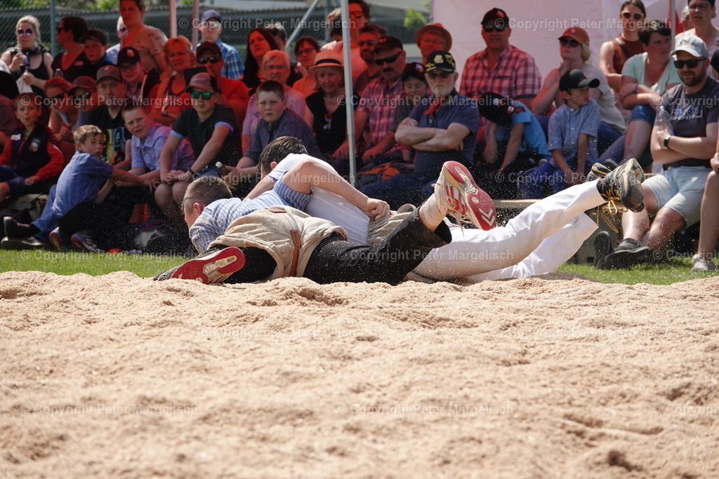 DSC04379 | Schwingen - Realisiert mit Pictrs.com