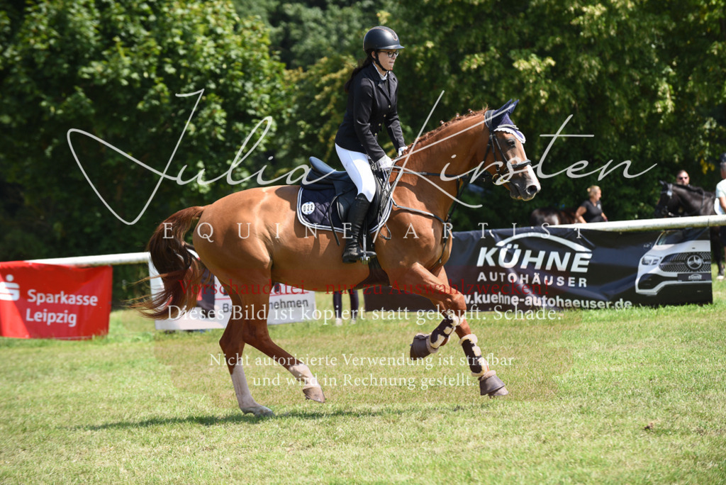 DSC_0013 | Pferde- und Turnierfotografie in Westsachsen. Pferdeportraits, Auftragszeichnungen und intuitive Kunst.