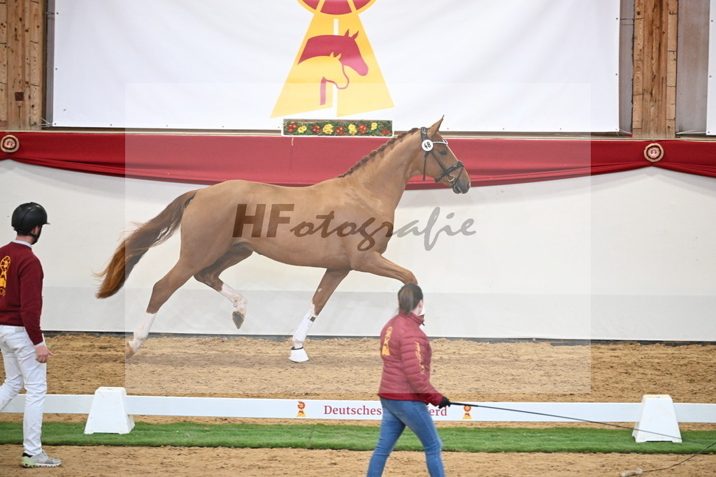 Kat.-Nr. 48 v. De Niro Gold_Schulze Averdiek_2250137 | hf-fotografie - Realisiert mit Pictrs.com