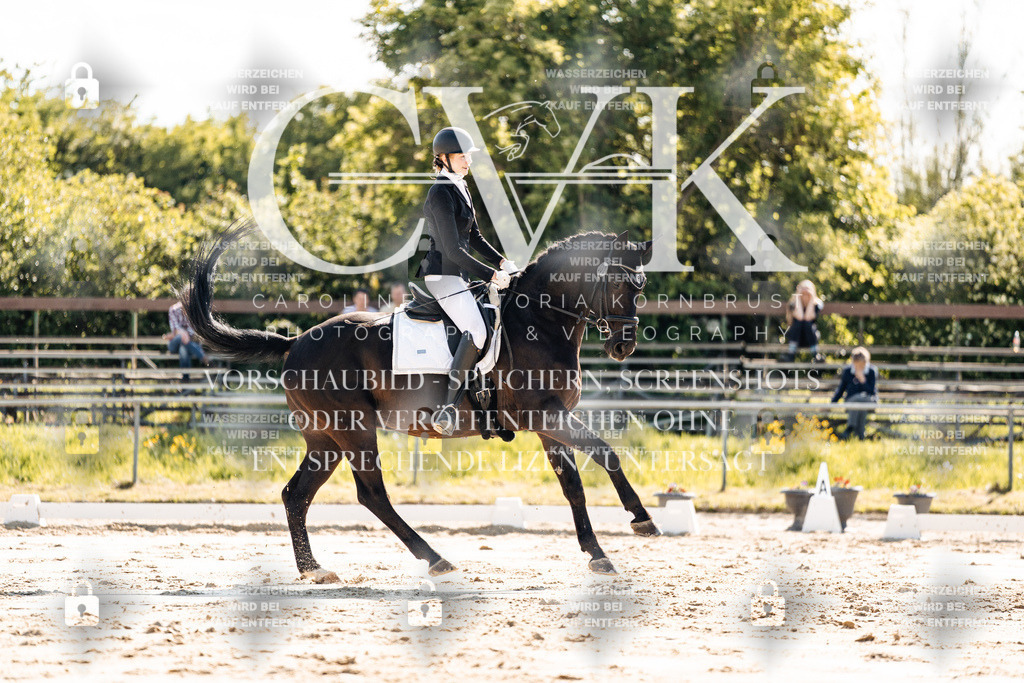 CK909276 | Turnierfotografie Pferdefotografie Trier Rheinland-Pfalz Pferdesport Reitsport Tierfotografie Sportfotografie Pferdevideo Pferdevideografie Equestrianvideography equestrianphotography  - Realisiert mit Pictrs.com