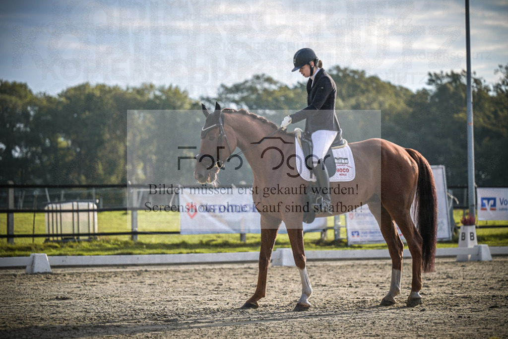DOS_3406 | Entdecke hochwertige Reitturnierfotos von Foto Oger. Professionell, emotional und authentisch – jetzt Lieblingsmomente im Shop bestellen.Deutschlandweite Turnierfotografie. - Realisiert mit Pictrs.com