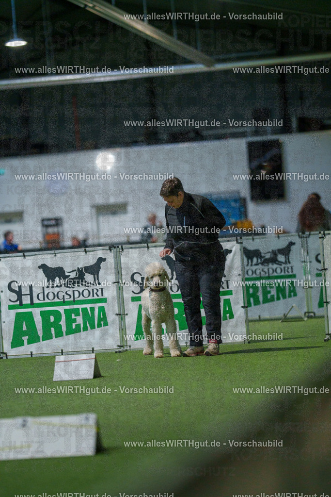 7R509871 | Professionelle Tierfotografie in Mönchengladbach von Daniel Wirth (allesWIRTHgut). Liebevolle & natürliche Bilder von Hunden & Katzen für unvergessliche Erinnerungen.