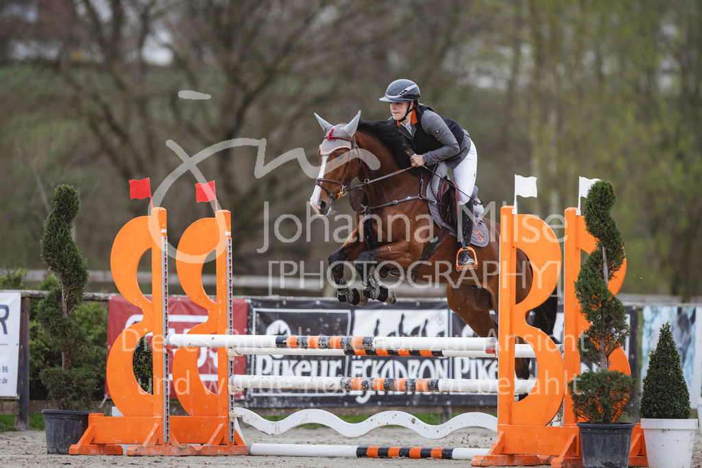 240330_Fruehlingsfest_Stil-A1_U30-429 | Deine schönsten Turniermomente als professionelle Fotos! Entdecke hochwertige Pferdesport-Fotografie im Online-Shop. Jetzt Fotos finden & bestellen!