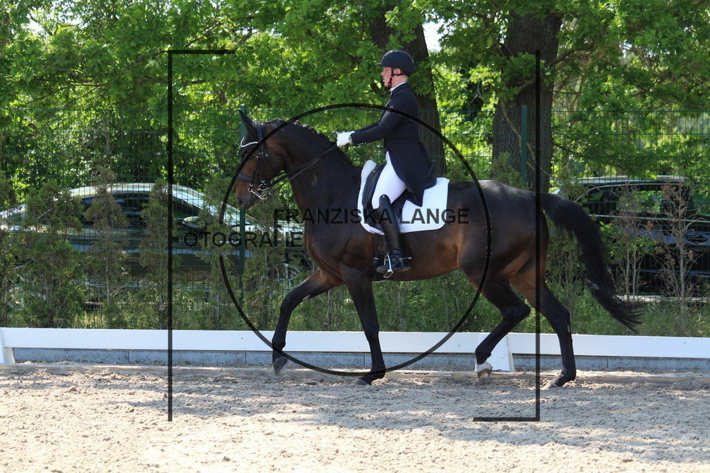 IMG_4696 | franziskalange - Realisiert mit Pictrs.com