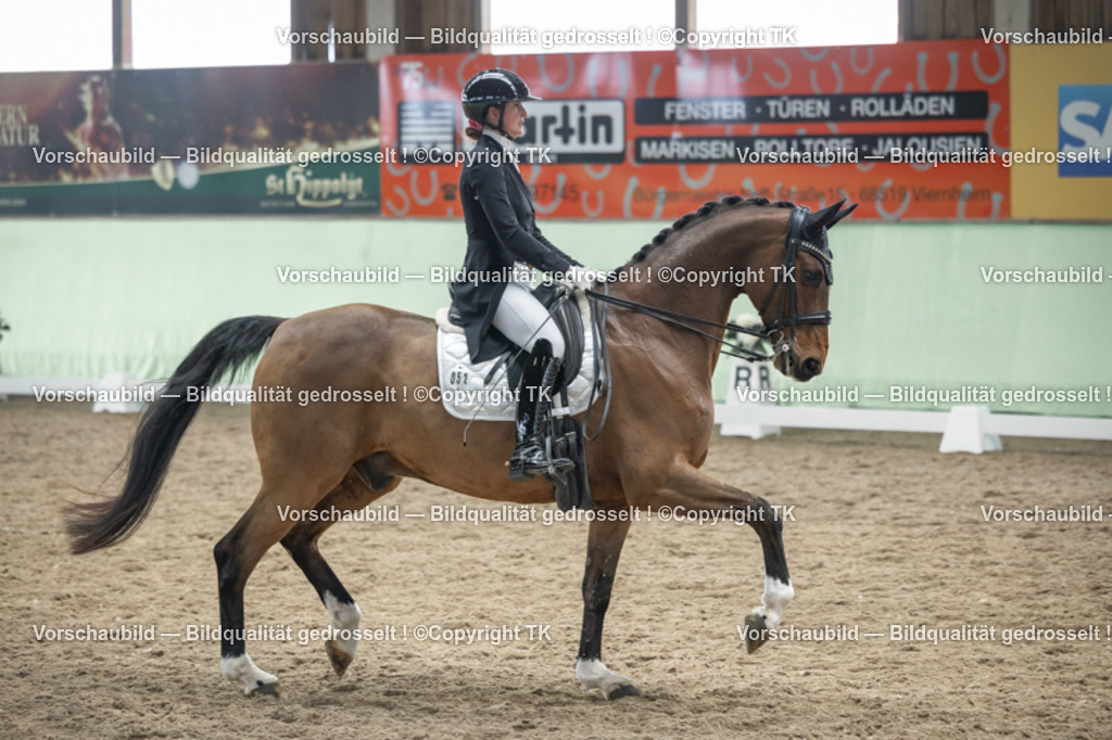 _D5A6186 | Emotionale Pferde- & People-Fotografie rund um Heidelberg, Leimen & Umgebung. Natürliche Fotos von Pferd, Mensch & Familie. Jetzt Termin sichern!