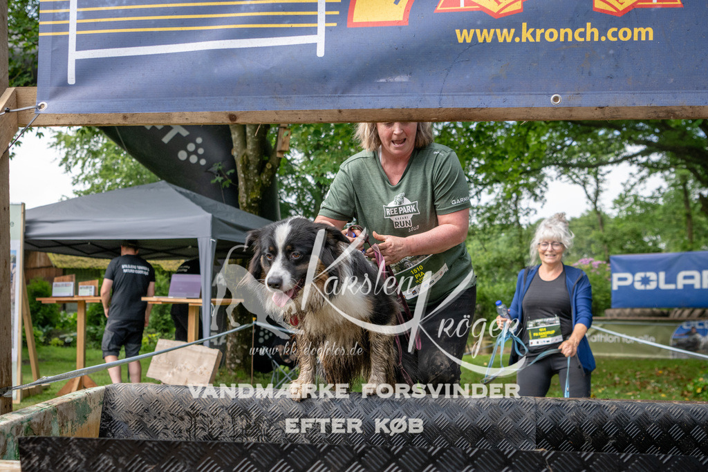 1033_ZZ91273 | kk-dogfotos