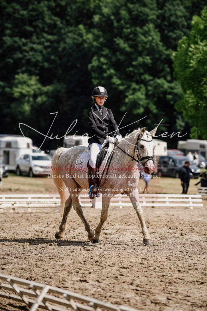 DSC_0533 | Pferde- und Turnierfotografie in Westsachsen. Pferdeportraits, Auftragszeichnungen und intuitive Kunst.