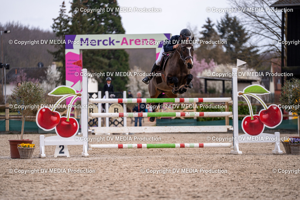 Kranichstein Tag 2-2286 | dv-media-shop - Realisiert mit Pictrs.com