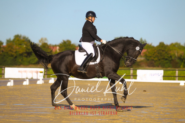 DKP44891 | Turniersportfotografie; Pferdefotografie; Dressurfotografie