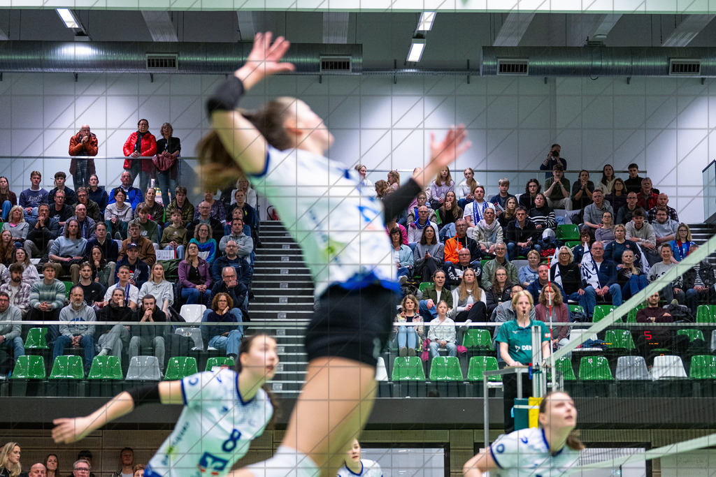 2. VBLF Nord 25/26 | Spiel 4113 | VC Osnabrück vs. SFF Bonn | //  21.03.26: 2. VBLF Nord 25/26 | Spiel 4113 | VC Osnabrück vs. SFF Bonn / Osnabrück / Deutschland  //   CREDIT:www.bullenfotos.de, Martin König, Hörner Weg 40, D-49078 Osnabrück, +4917663732967 // Nutzung und Weitergabe nur zu den vereinbarten Zwecken. Presseanfragen an Ersteller. Alle Rechte beim Ersteller. Honorierung nach MFM. - Realisiert mit Pictrs.com