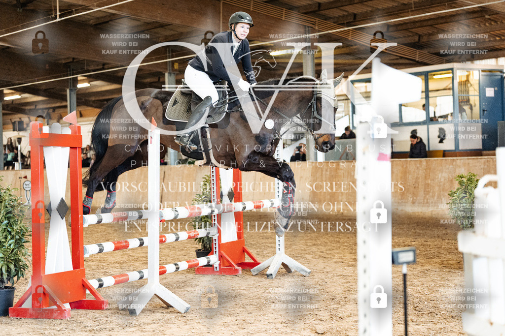 CK904960 | Turnierfotografie Pferdefotografie Trier Rheinland-Pfalz Pferdesport Reitsport Tierfotografie Sportfotografie Pferdevideo Pferdevideografie Equestrianvideography equestrianphotography  - Realisiert mit Pictrs.com