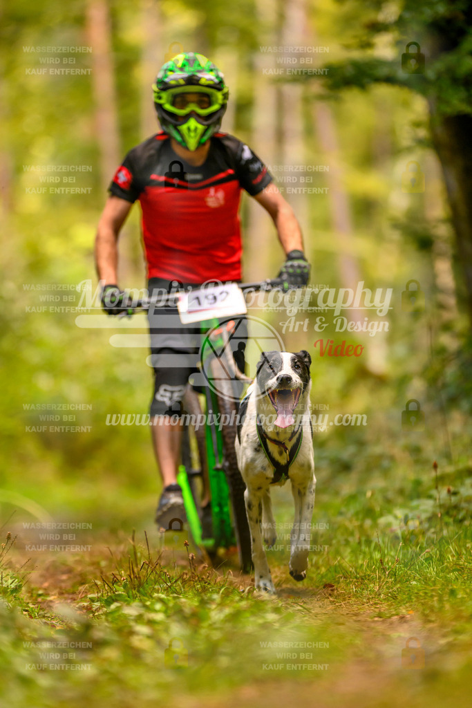 MompixPhotography_Yens2025_B2-113 | PayLife