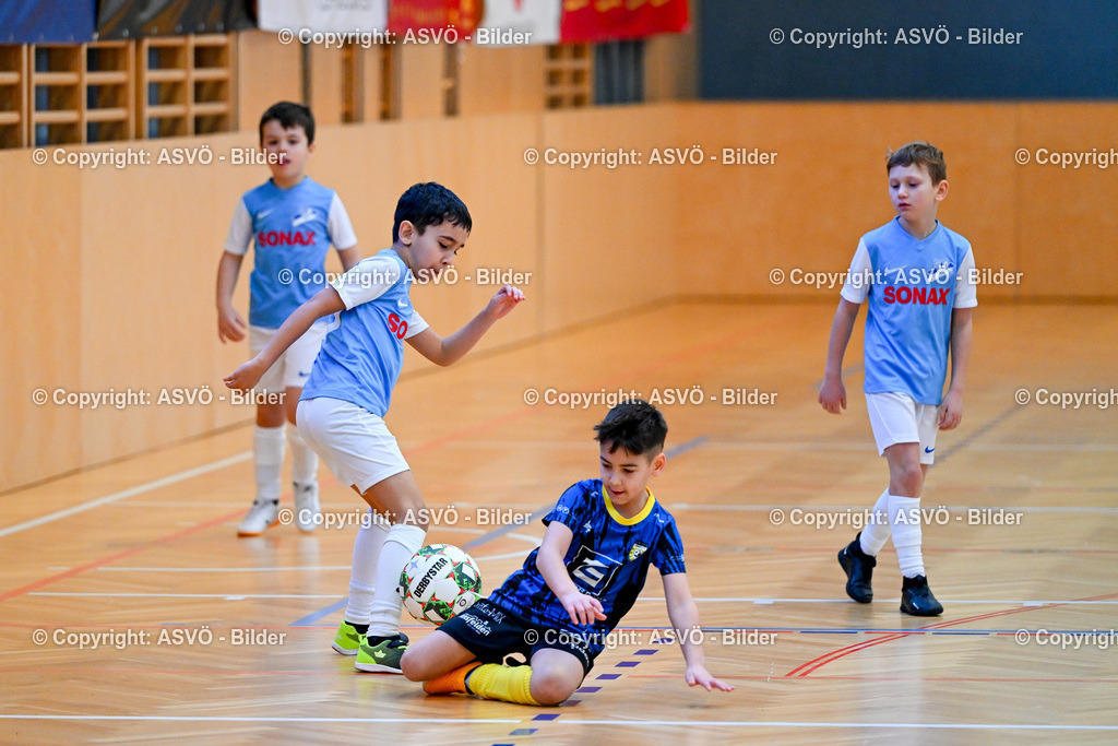 ASVÖ_ Fussballturnier SV Gallneukirchen_ 08.02.2025-39 | 08.02.2025, Gallneukirchen, AUT, ASVÖ, Fussball Nachwuchs Hallenturnier 2025, SV Gallneukirchen im Bild Teilnehmer U 7©Harald Dostal / fodo.media - Realisiert mit Pictrs.com