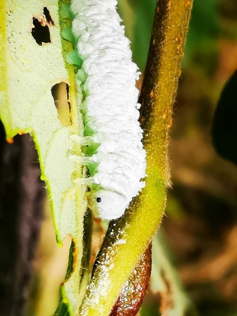 PSX_20220906_230155 | mtkfoto_ - Realisiert mit Pictrs.com