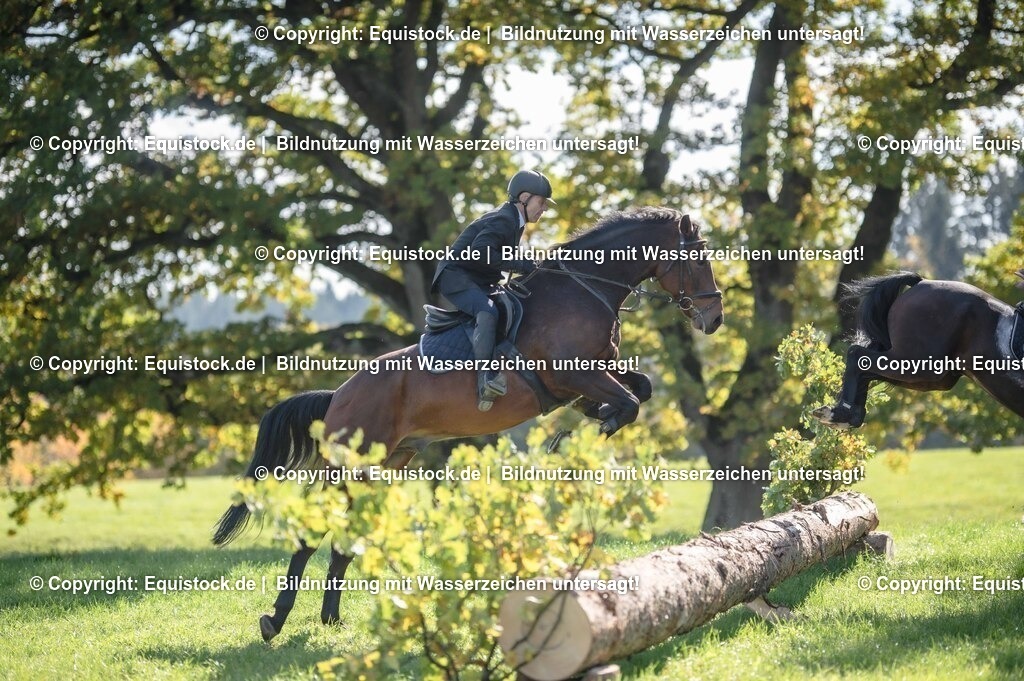 20251011_Jagd-Marbach_0425 | Foto: Thomas Hartig