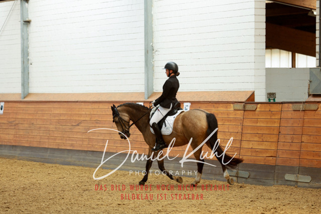 _62_6996 | Turniersportfotografie; Pferdefotografie; Dressurfotografie