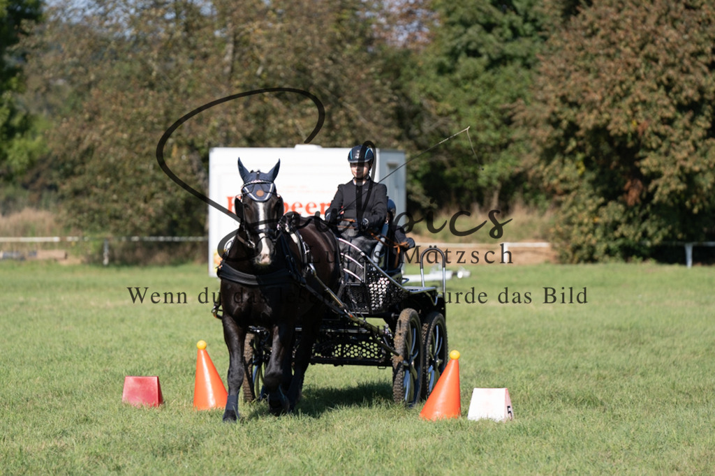 A7V04354 | Pferdefotograf