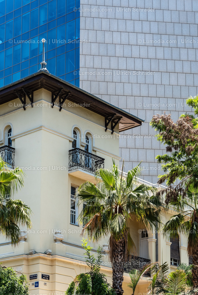 10972-10174 - Tel Aviv - Rothschild Boulevard | Stockfoto und Bilderpool mit Bildmaterial aus Deutschland, dem Harz, Halberstadt, Quedlinburg, Wernigerode und weltweit. Qualitativ hochwertige und professionelle Fotos anschauen und kaufen. - Realisiert mit Pictrs.com