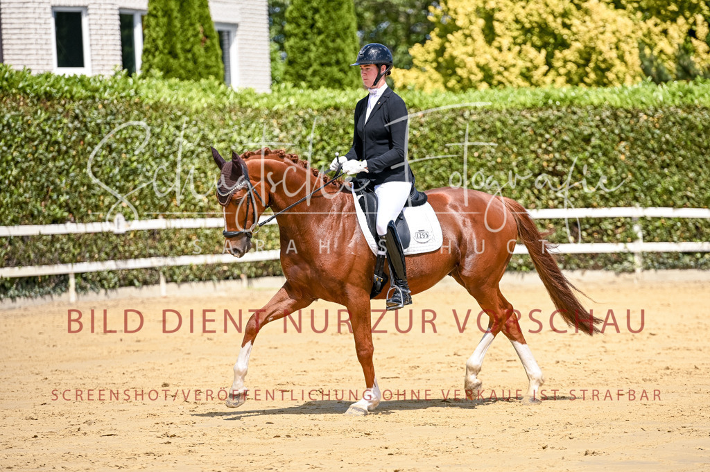 Schugtsche-Aluta25-49.Dressurpferdeprf.A-94 | Schugtsche Fotografie - Realisiert mit Pictrs.com