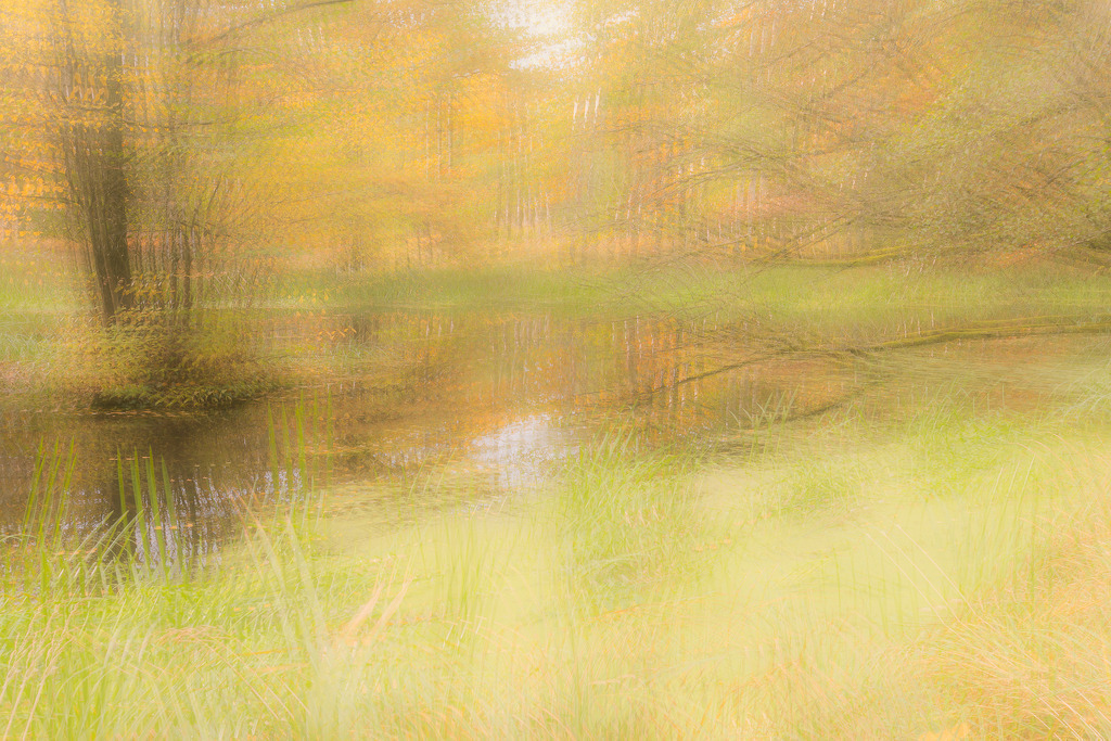 Herbstwind | Kuhlake in Herbstfarben - Realisiert mit Pictrs.com
