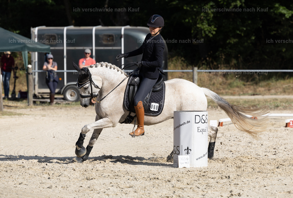 WS_SPEED_68_KerstinBernhardt-8 | working equitationturnier fotograf videograf stoibphotography marixx film working equitation deutschland reitsport turnierfotografie eventfotografie equestrian events
