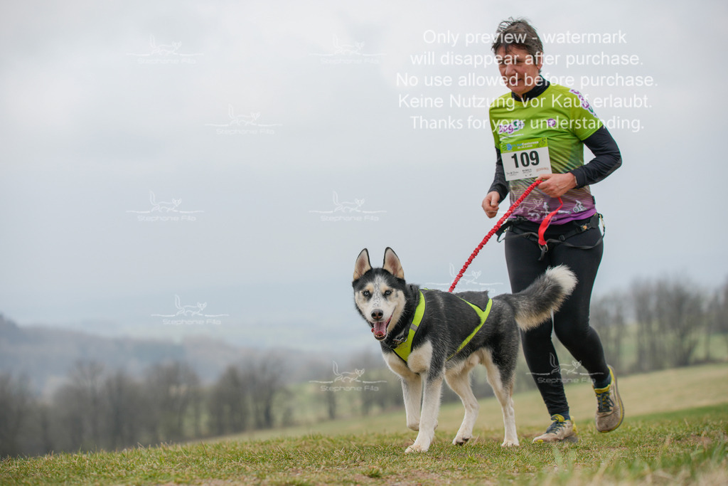 Canixlong-533 | stephaniefillaphotographie - Realisiert mit Pictrs.com