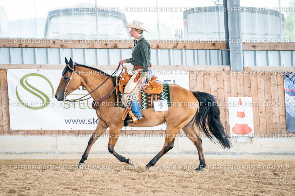 DSC03631 | Pferdegrafie