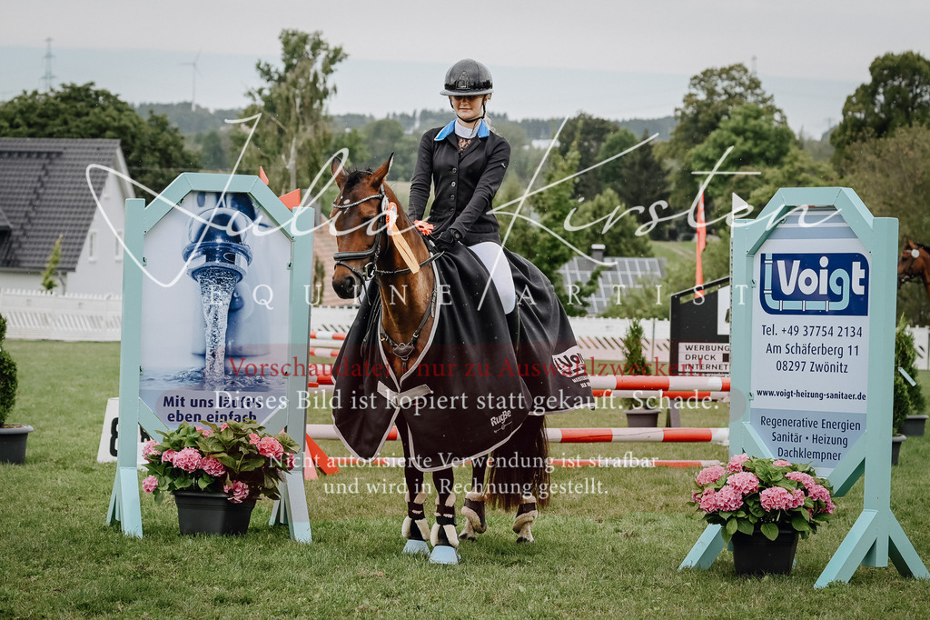 DSC_7098 | Pferde- und Turnierfotografie in Westsachsen. Pferdeportraits, Auftragszeichnungen und intuitive Kunst.