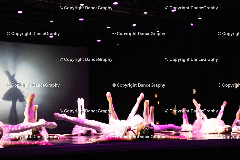 GPHY4437 | DanceGraphy - Realisiert mit Pictrs.com