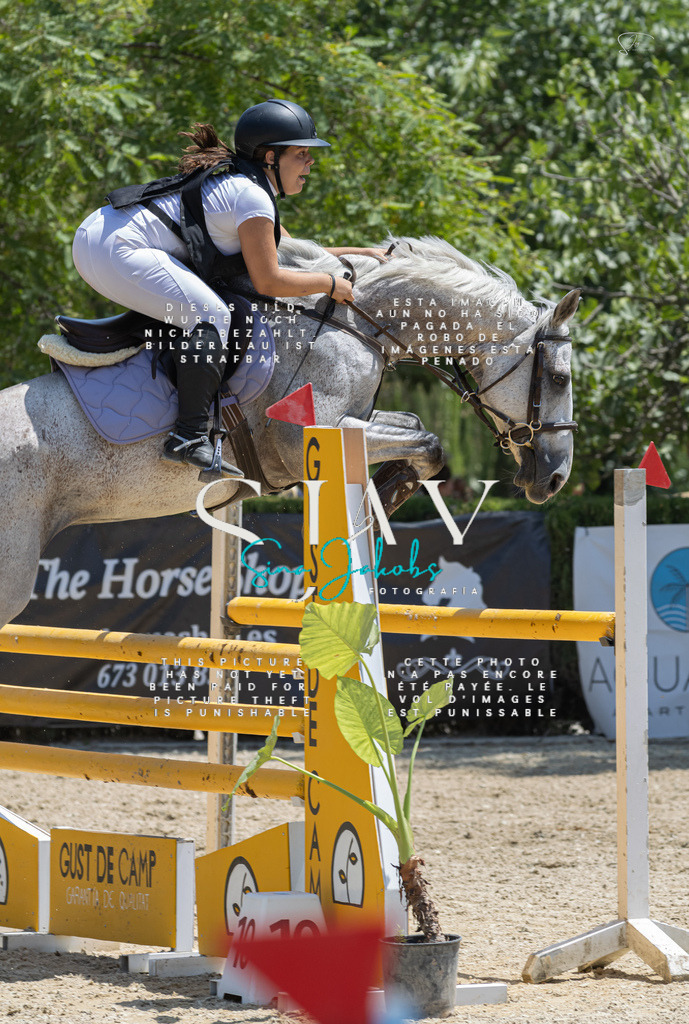 IMG_7640 | s-jay-photography - Realisiert mit Pictrs.com