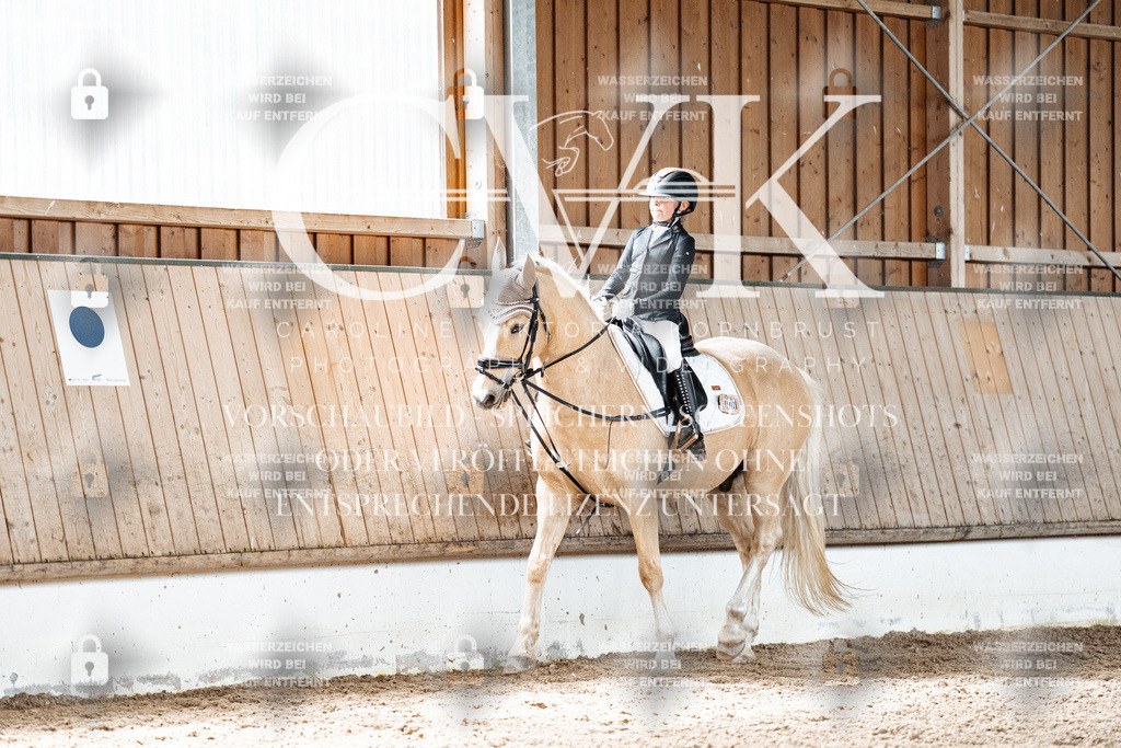 CK900542 | Turnierfotografie Pferdefotografie Trier Rheinland-Pfalz Pferdesport Reitsport Tierfotografie Sportfotografie Pferdevideo Pferdevideografie Equestrianvideography equestrianphotography  - Realisiert mit Pictrs.com