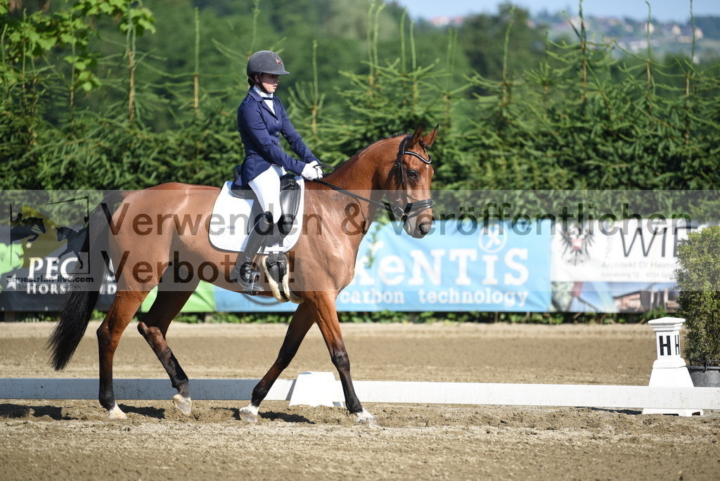 DSC_7224 | equestrian-live-com