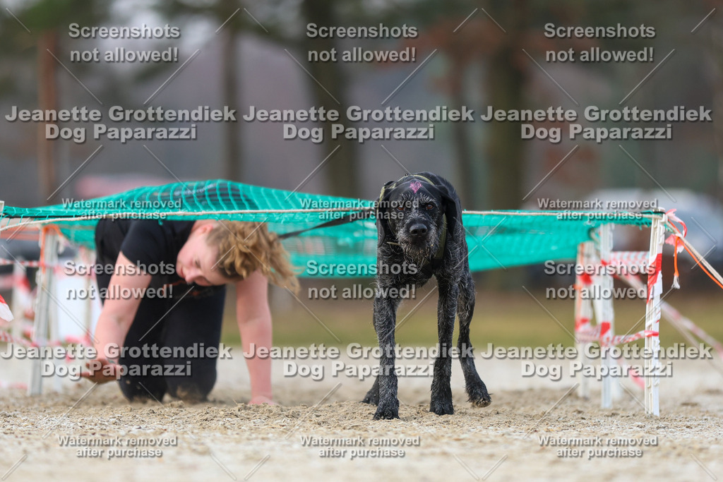 Dog Paparazzi - Strongdog North Mrz26-3699 | Dog Paparazzi Jeanette Grottendiek Fotografie & Videografie - Realisiert mit Pictrs.com