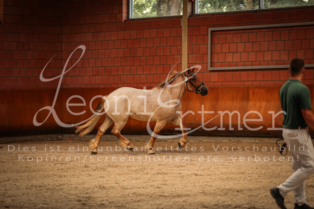 SaFL00079 | Leoni Ertmer Photography - Realisiert mit Pictrs.com