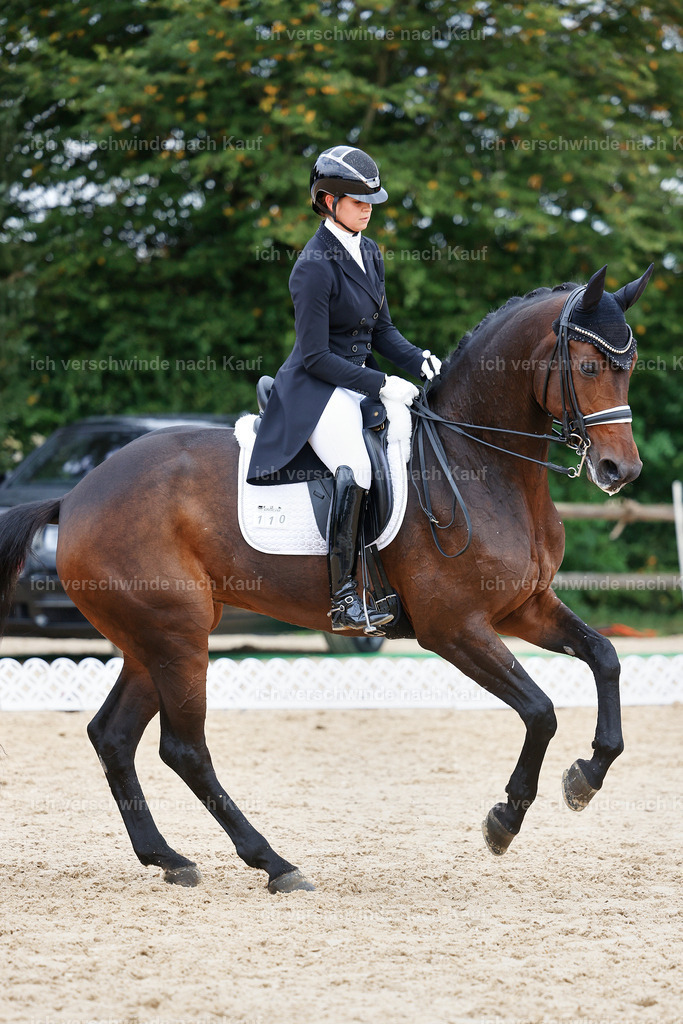 12-110-DRESSUR  S___  -StoibPH-5298 | working equitationturnier fotograf videograf stoibphotography marixx film working equitation deutschland reitsport turnierfotografie eventfotografie equestrian events