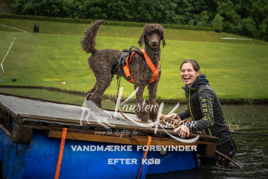 1554_ZZ95672-2 | kk-dogfotos