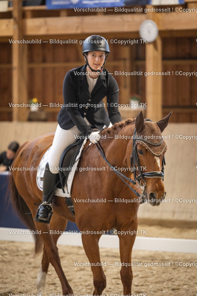 _D5A9740 | Emotionale Pferde- & People-Fotografie rund um Heidelberg, Leimen & Umgebung. Natürliche Fotos von Pferd, Mensch & Familie. Jetzt Termin sichern!