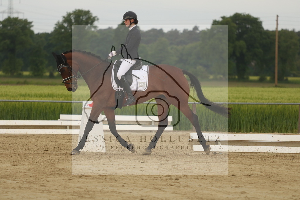 IMG_6102 | jessicahollubetz_pferdephotographie - Realisiert mit Pictrs.com