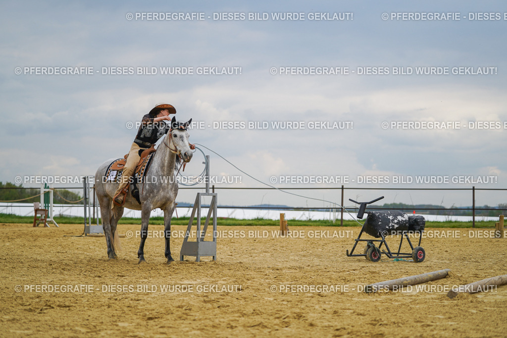 DSC07361 | Pferdegrafie