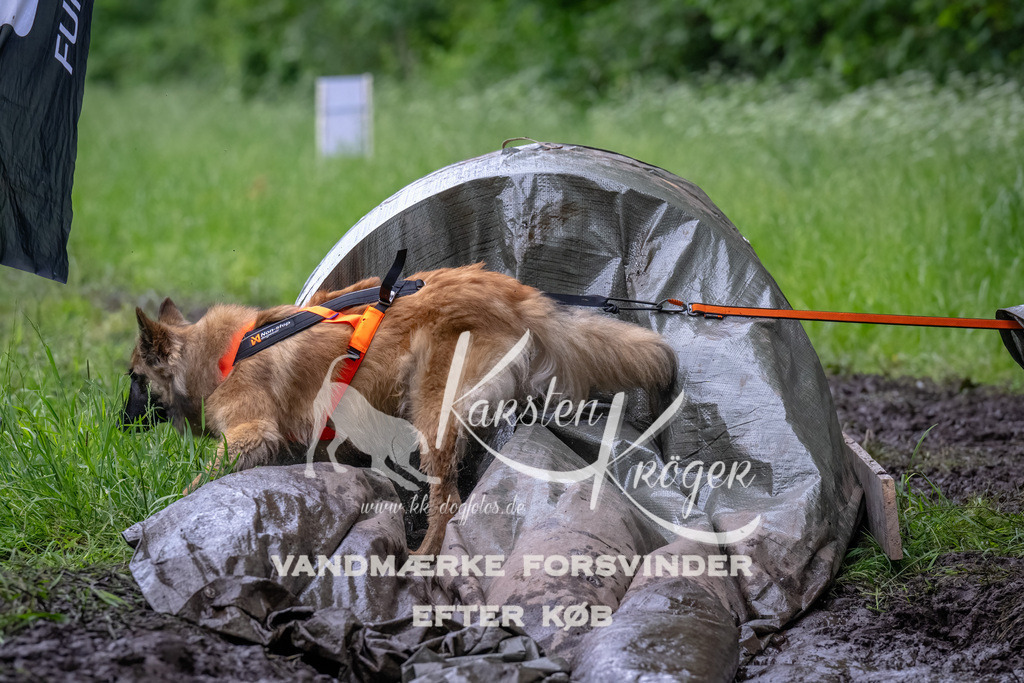 1607_ZZ92380-Bearbeitet | kk-dogfotos