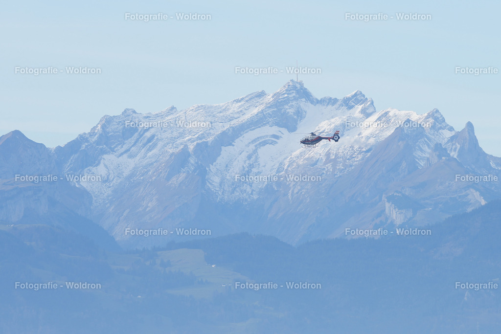 20221111 Amoklauf in Mittelschule Haselstauden | DORNBIRN, OESTERREICH - 11. NOVEMBER: Polizeieinsatz waehrend des Amoklaufs in der Mittelschule Haselstauden in Mittelschule Haselstauden on November 11, 2022 in Dornbirn, Austria.