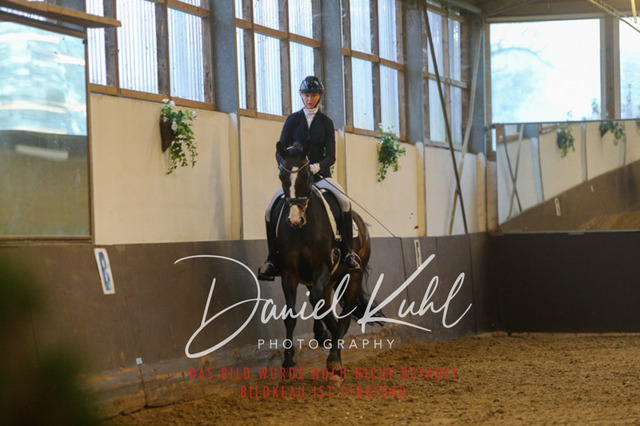 IMG_7196 | Turniersportfotografie; Pferdefotografie; Dressurfotografie