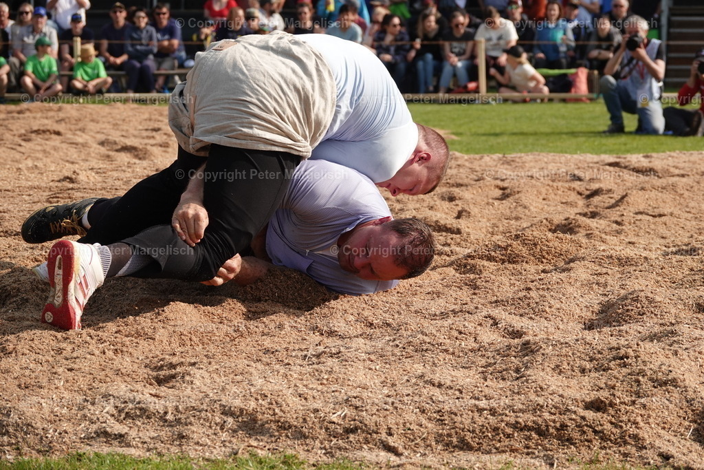 DSC04474 | Schwingen - Realisiert mit Pictrs.com