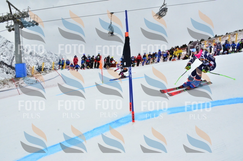 _ELE3163 | holidayphoto