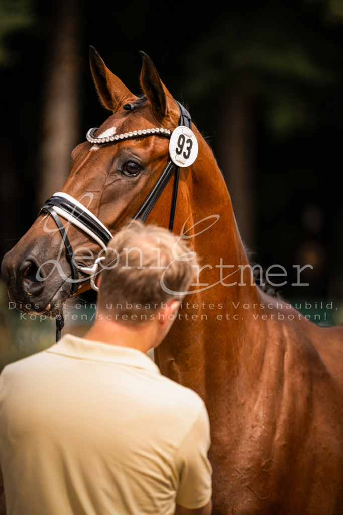 6.Fr00167 | Leoni Ertmer Photography - Realisiert mit Pictrs.com